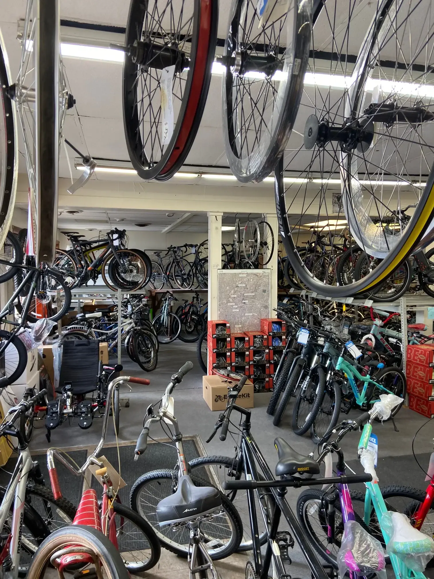 The Renaissance Cyclery showroom, bicycles racked wall to wall and hung from the ceiling