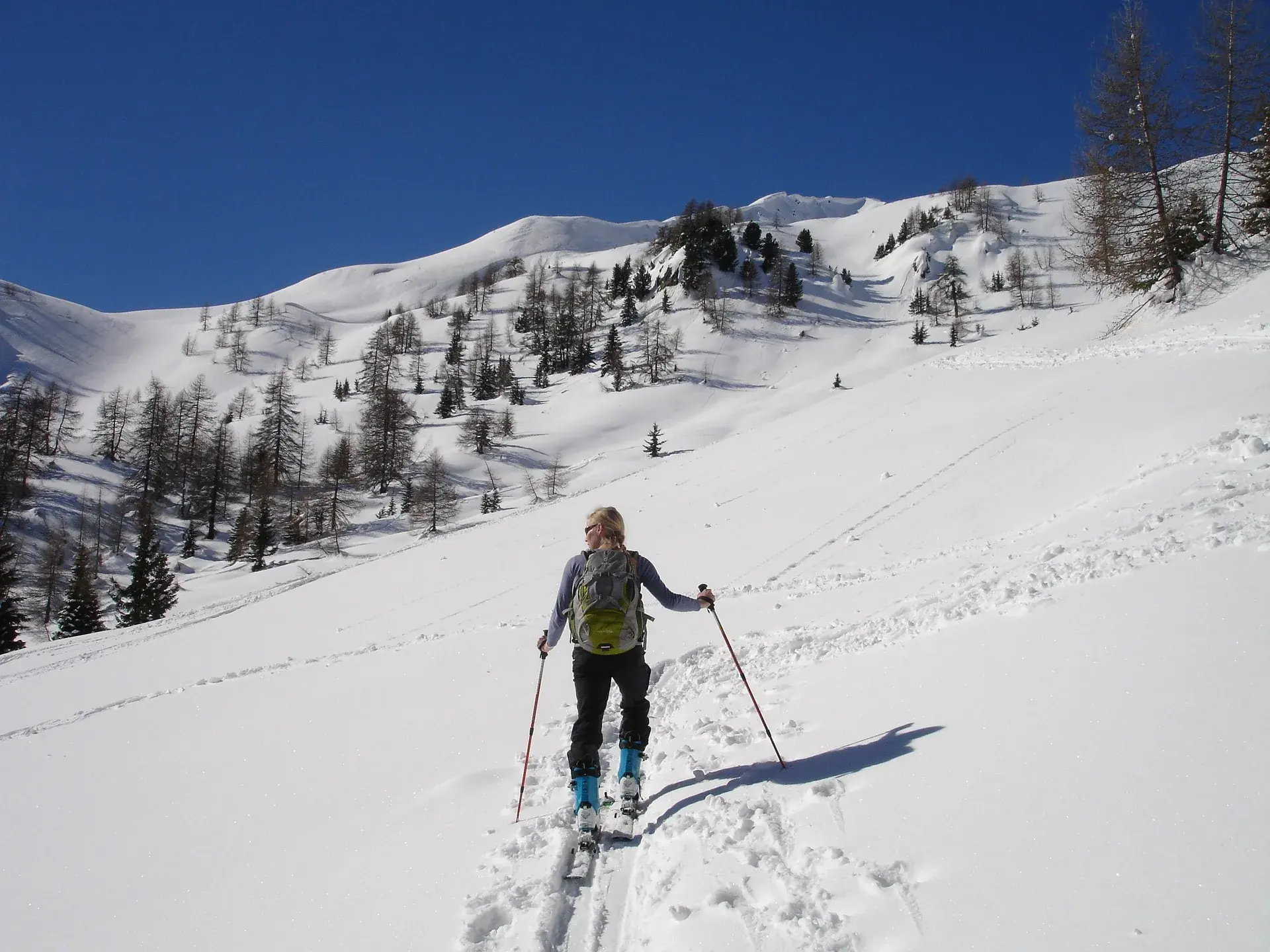 A skier skinning up a snow-covered slope below a treeline
